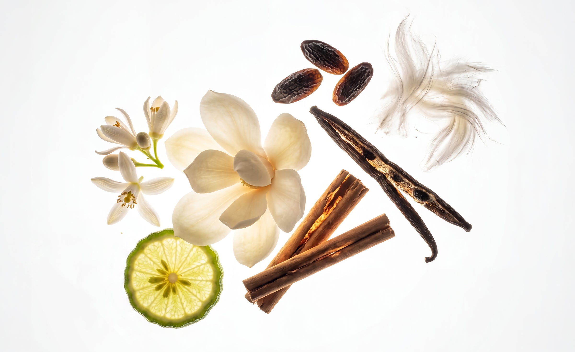 Scent Notes
